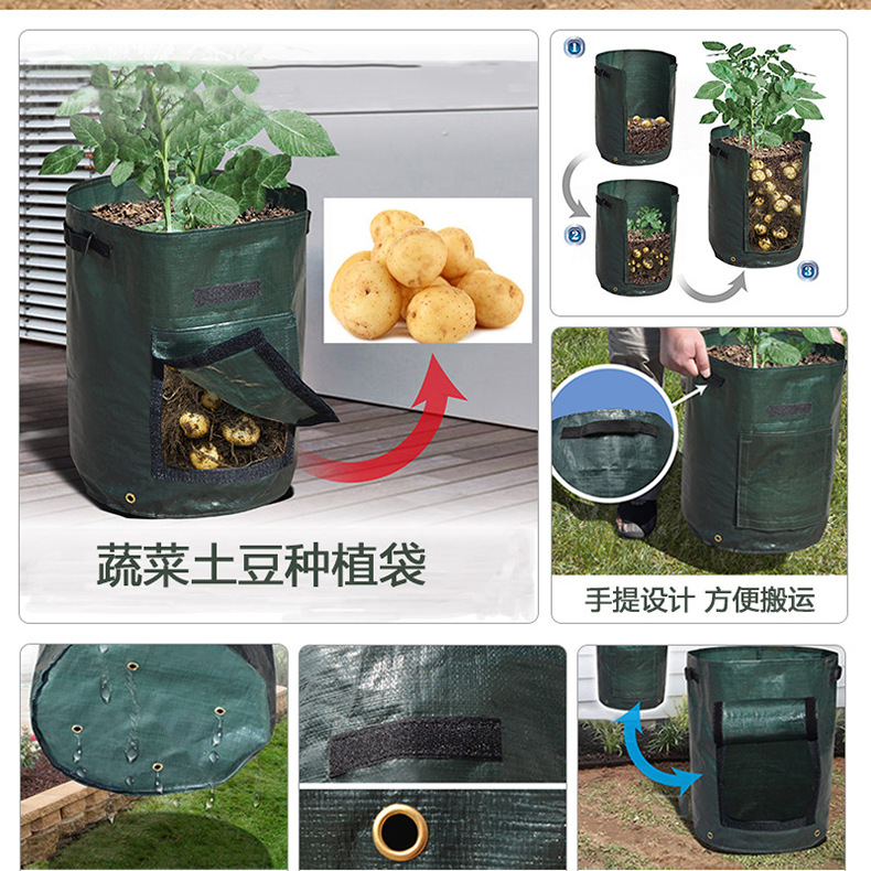 Description Picture 3 of itemPE Potato Growing Bag Potato Vegetable Plant Growing Bag Planting Bucket Beautiful Planting Bag 3/5/7/10 Gallon