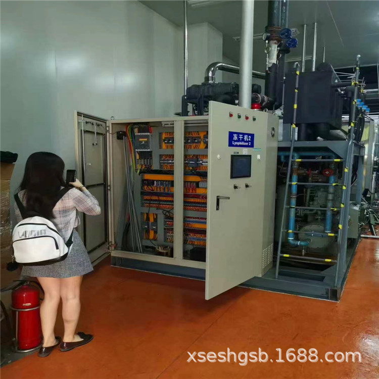 二手冻干机 蔬果冻干机蔬菜草莓干燥机设备速食汤真空冷冻冻干机