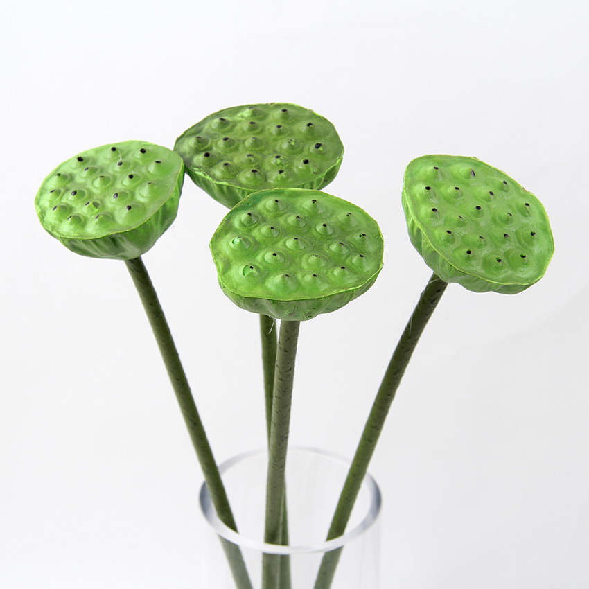 单支莲蓬小 1.jpg