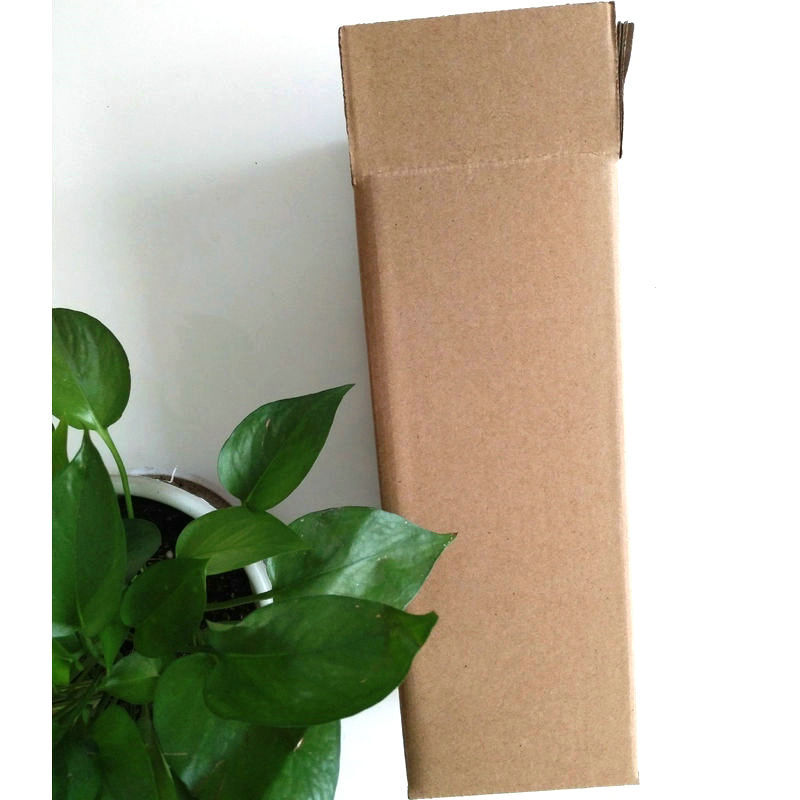 4367820793_245514131_副本