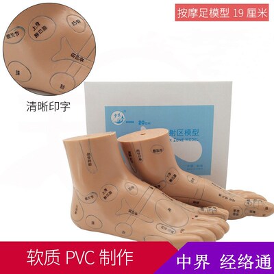 足底穴位模型图软质脚模足模型19cm足部经络反射区按摩足推拿教学|ru