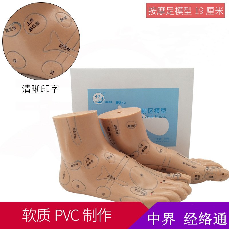 足底穴位模型图软质脚模足模型19cm足部经络反射区按摩足推拿教学|ru