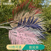 仿真绿植3叉散尾葵散尾叶北欧网红铁树叶婚庆 仿真假花软装塑料叶