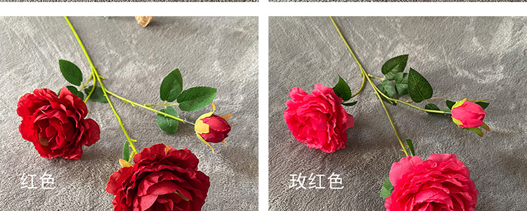 洋牡丹详情_10.jpg