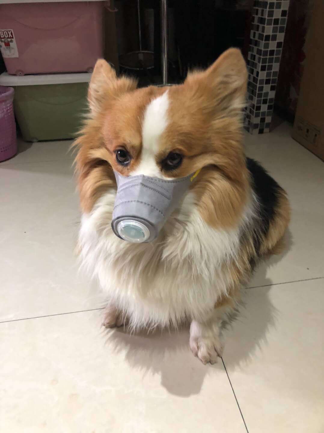 29d18c11ab255f5034d309d3356d34