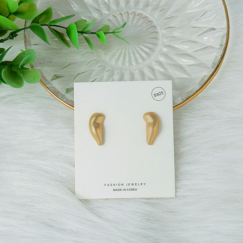 New Popular Brass Matte Earrings Geometric Irregular S925 Silver Earrings For Women display picture 7