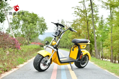 Brazilian Electric Vehicle Promotion Internet Celebrity Lithium Battery Electric Vehicle Motorcycle 2000W High Power Electric Self-Priming Supply
