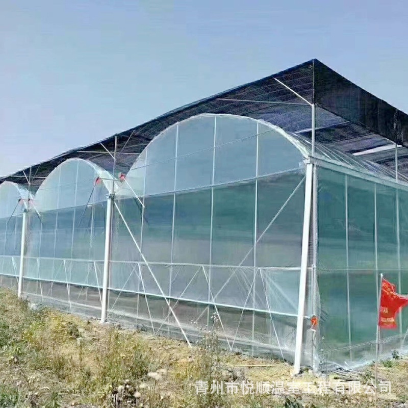 厂家供应连栋薄膜温室大棚蔬菜花卉种植水产养殖大棚暖房设计安装