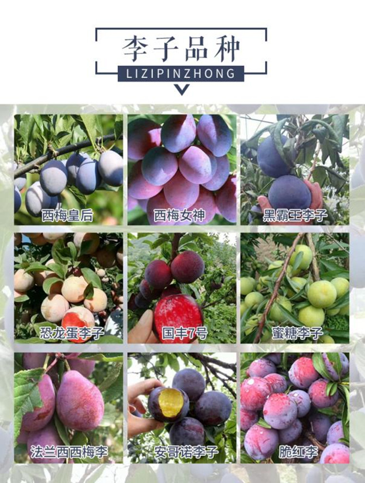 9604e90d9d22e8c74676e560d40b7a