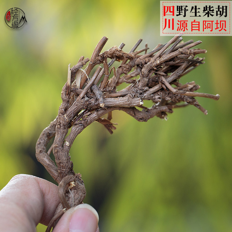 野生柴胡1kg起 北柴胡  竹叶柴胡根 产地四川阿坝不熏硫 量大从优