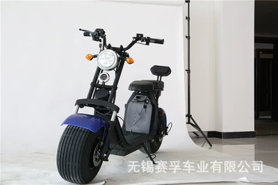 Electric Bicycle Pedal, Elektrikli motosikletlər
