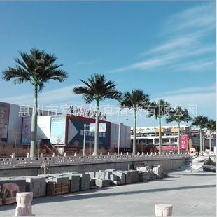 �������Ҭ�Ә� ���;��^�� ����������Ҭ ��ȼ����Ҭ �S��ֱ�N