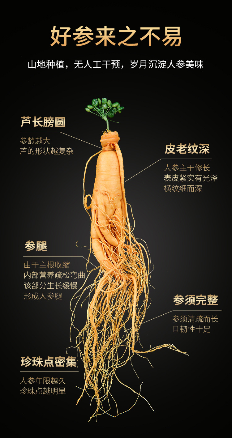 保鲜人参 长白山人参批发厂家直销东北特产新鲜人参泡酒参 阿里巴巴