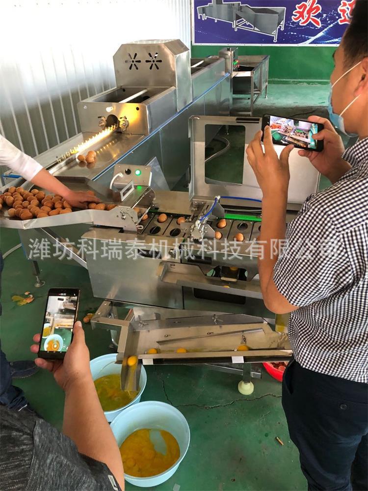 磕蛋机 双排鸡鸭蛋打蛋机 自动分离鸡蛋蛋清蛋黄机器