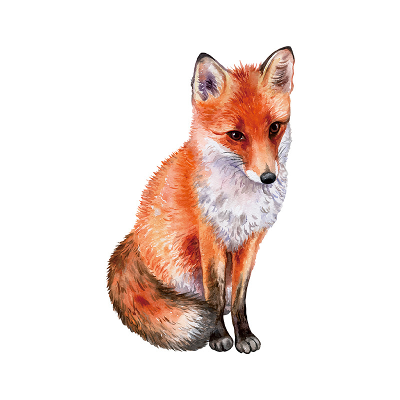 Casual Vacation Fox Pvc Wallpapers Wall Art display picture 6