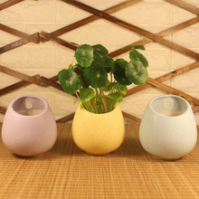 �����R�����մɱڒ컨�� �Ғ젝��ˮ����m��������ֲ����@����