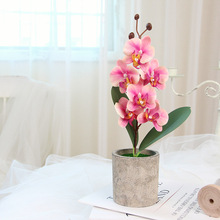 �羳���� �����m���{��͹���ʽ���滨���ԼҾ��b�ˇƷ�[��