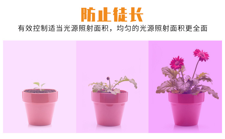 大PC植物灯（阿里巴巴）详情_05.jpg