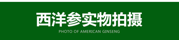 西洋参_07.jpg