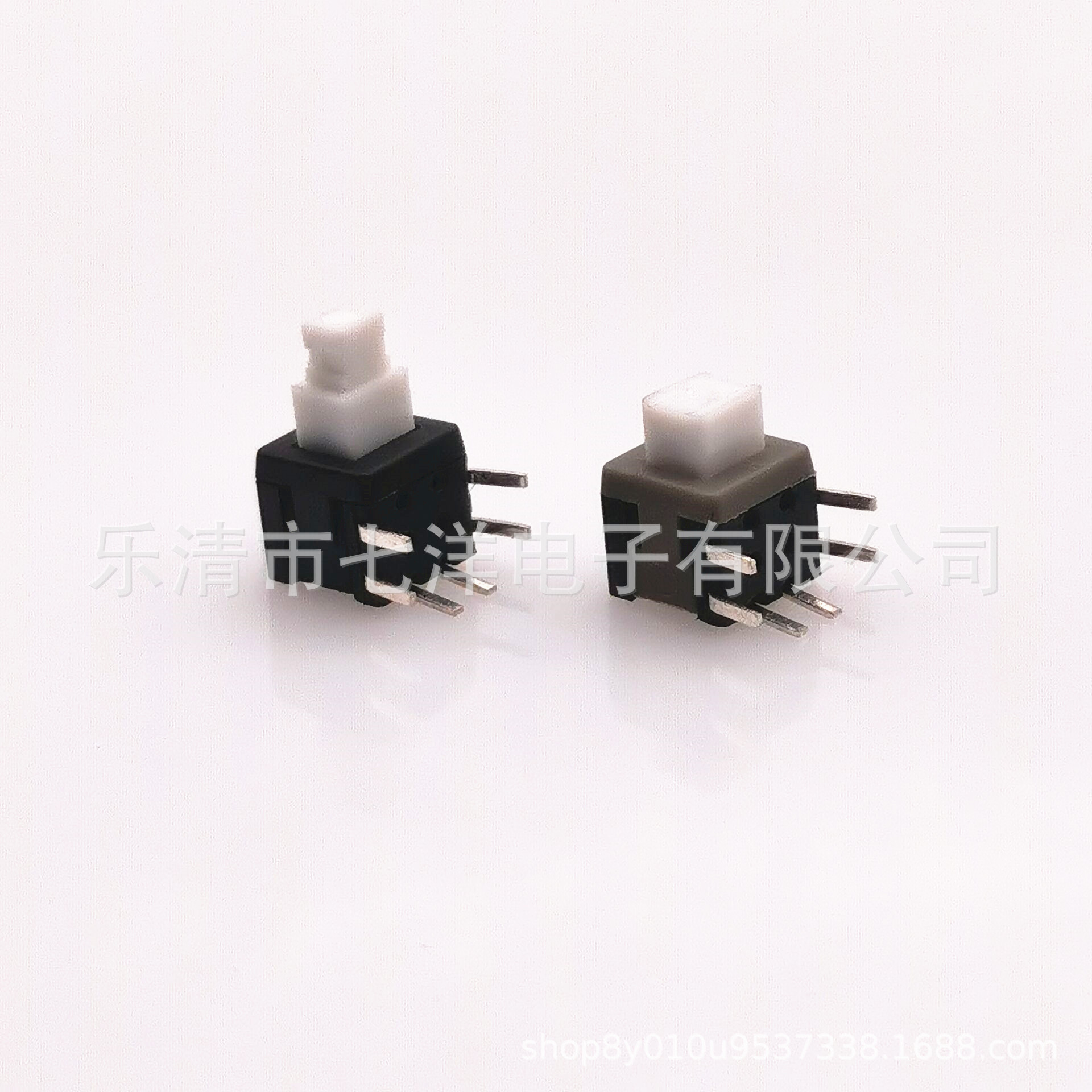 Double row switch key