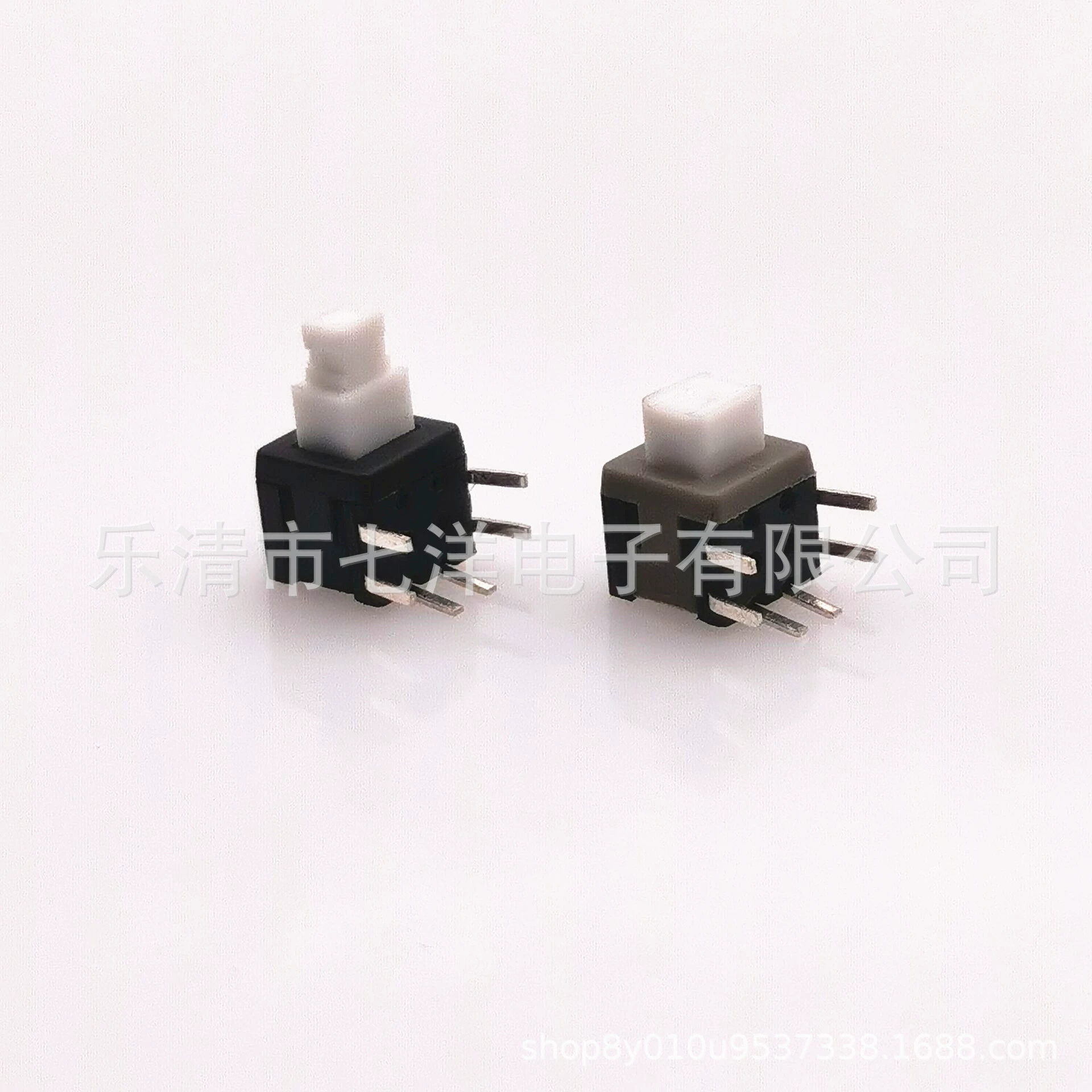 Double row switch key