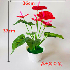 仿真植物盆栽廠家直銷仿真紅掌假花盆栽仿真綠植擺件跨境貨源直供