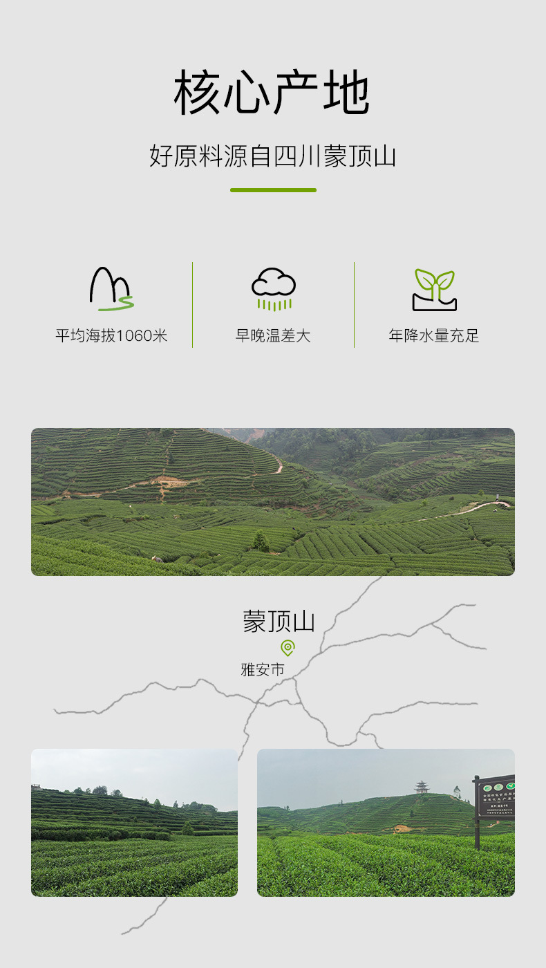 绿茶(碧螺春芯子2#)_06