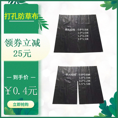 切片打孔防草布果树农用黑色园艺地膜pe盖草布果园实用除草布|ru