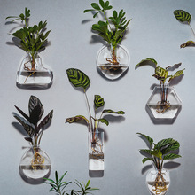 挂墙水培花瓶水养绿萝墙植物贴壁花盆挂瓶玻璃上挂式悬挂器皿创意