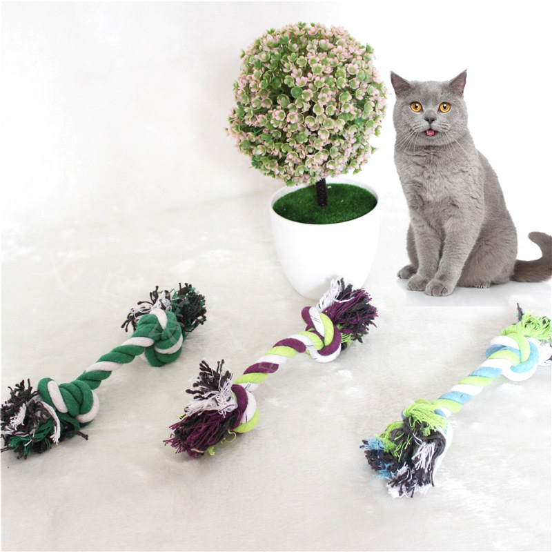 3228148239_2085543724