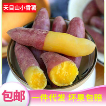 臨安天目山小香薯地瓜紅薯農家手指番薯甜粉糯新鮮一件代發非紫薯