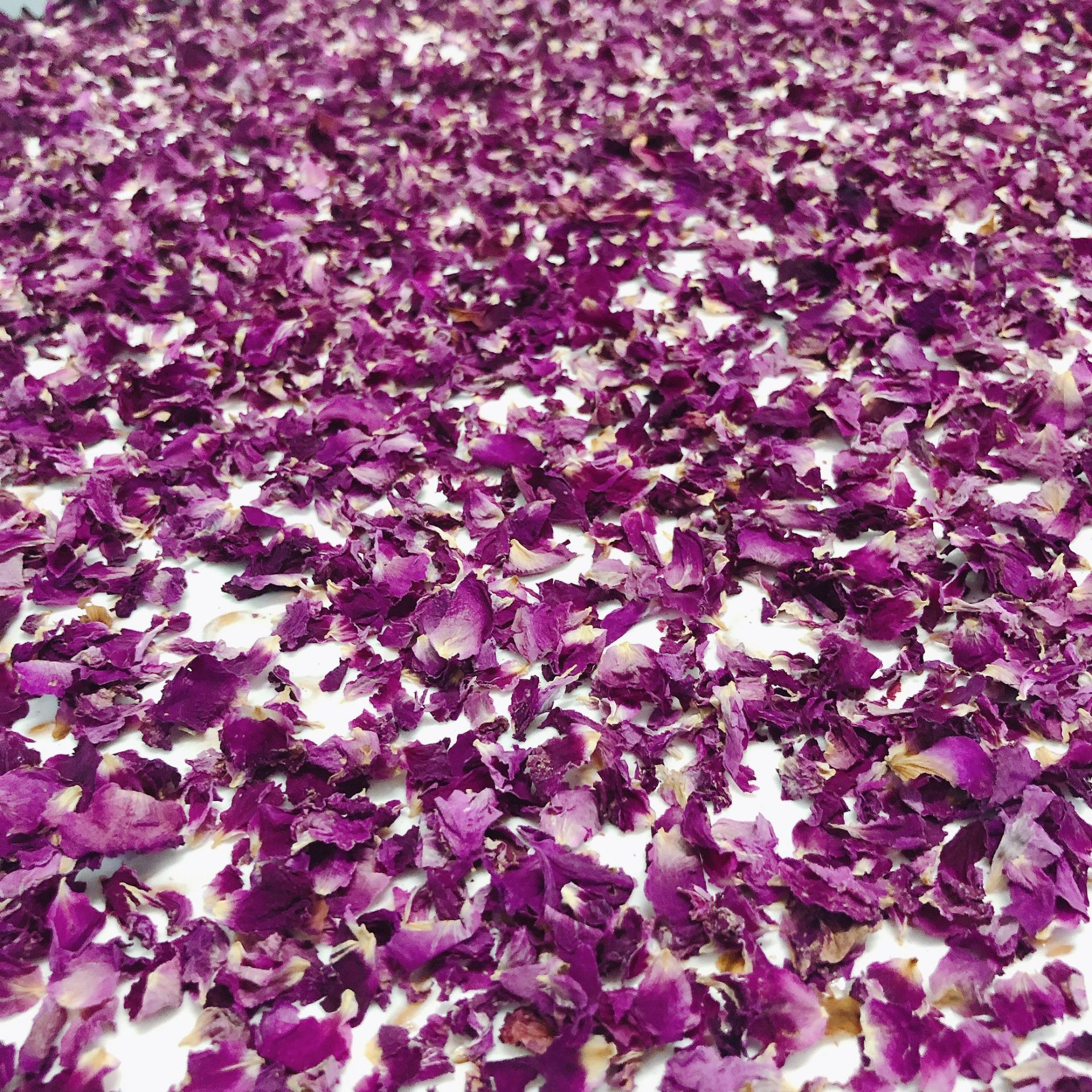 微信图片_20201109165922