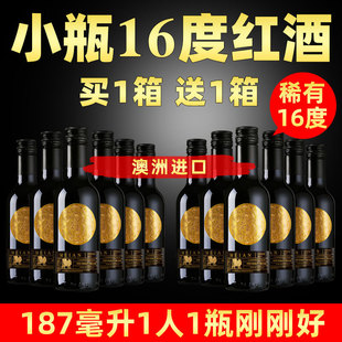 �����M��16�ȼt��С֧�b�ɼt���Ѿ�����Сƿ�t�Ƹ߶�187ml ˯ǰ��