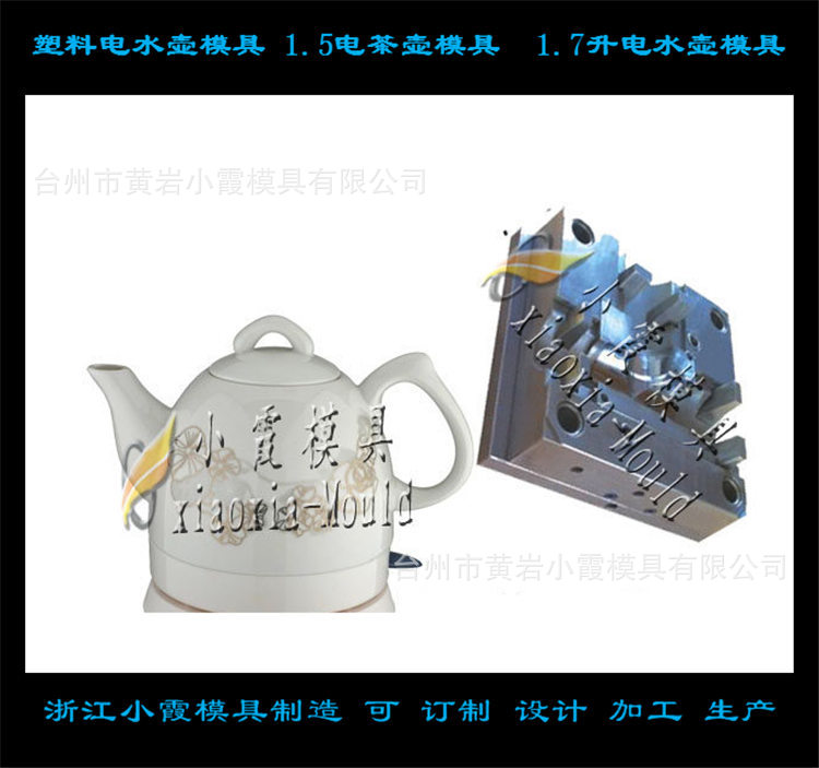 塑料电水壶模具 (99)