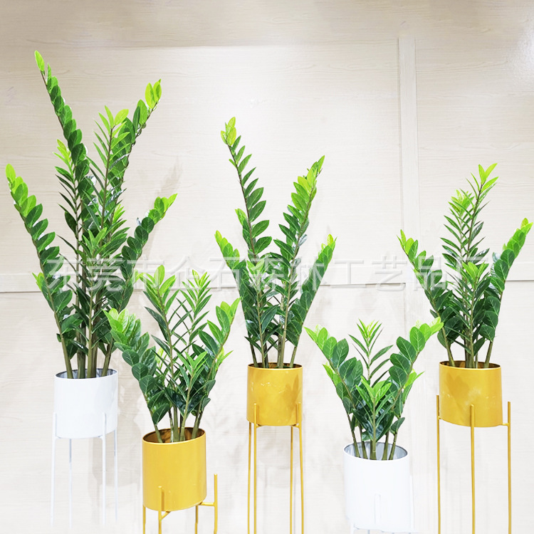 Factory wholesale simulation money tree green plant potted artificial tree living room decoration simulation money tree money leaf tree Factory wholesale simulation money tree green plant potted artificial tree living room decoration simulation money tree money leaf tree