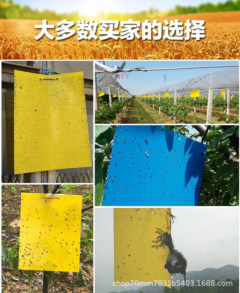 TB27xAroDXYBeNkHFrdXXciuVXa_!!