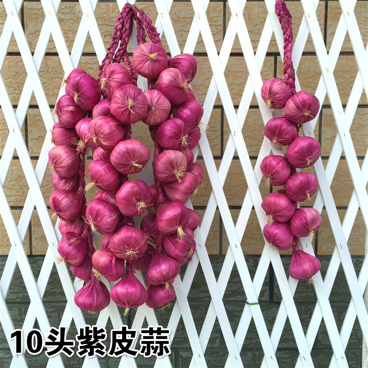 Vegetable model pendant fruit and vegetable window fake vegetable corn chili pepper, garlic decoration farmhouse fake fake