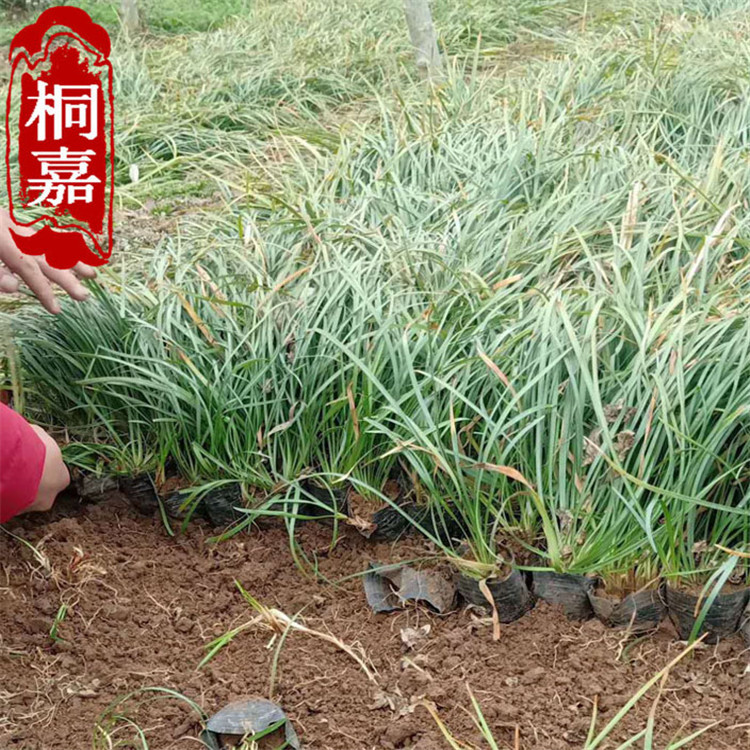 ΢��ͼƬ_202003091450411