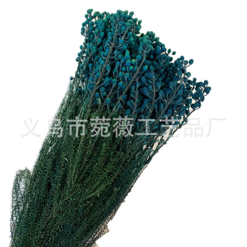 微信图片_20200323224642