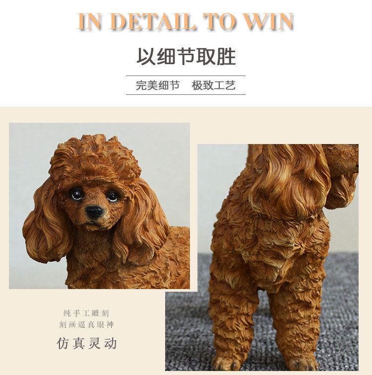 泰迪犬_08.jpg