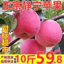 一件代發/產地直發甘肅靜寧蘋果大果脆甜紅富士帶箱10斤水果蘋果