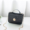 Lock, shoulder bag, one-shoulder bag, 2020, Korean style, crocodile print