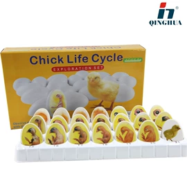 数理教学器材;教学演示用品;生物教学器材