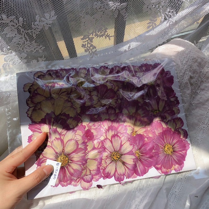 7365599a49250fde9d8d8c860dffff