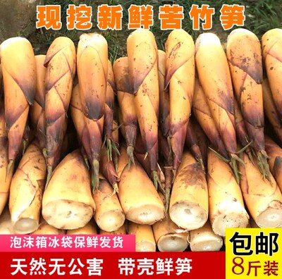 現貨特惠：現挖新鮮四川夾江苦筍帶殼苦竹筍淨重8斤精品大筍