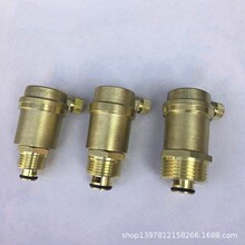 供应黄铜自动排气阀家用供暖气设备水管玉环铜阀门4分6分1寸