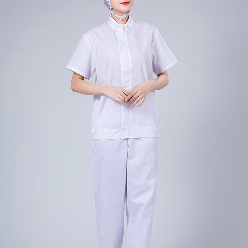 Thin food workshop workwear set summer short sleeve dust-proof suit tea factory pharmaceutical factory biological factory protective clothing wholesale