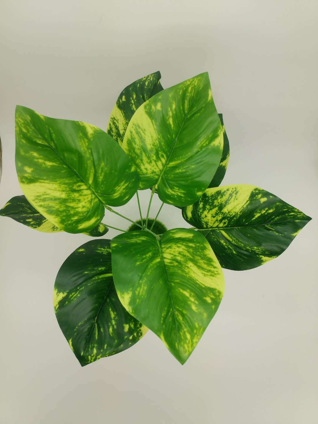 WeChat 圖片_20200708103506