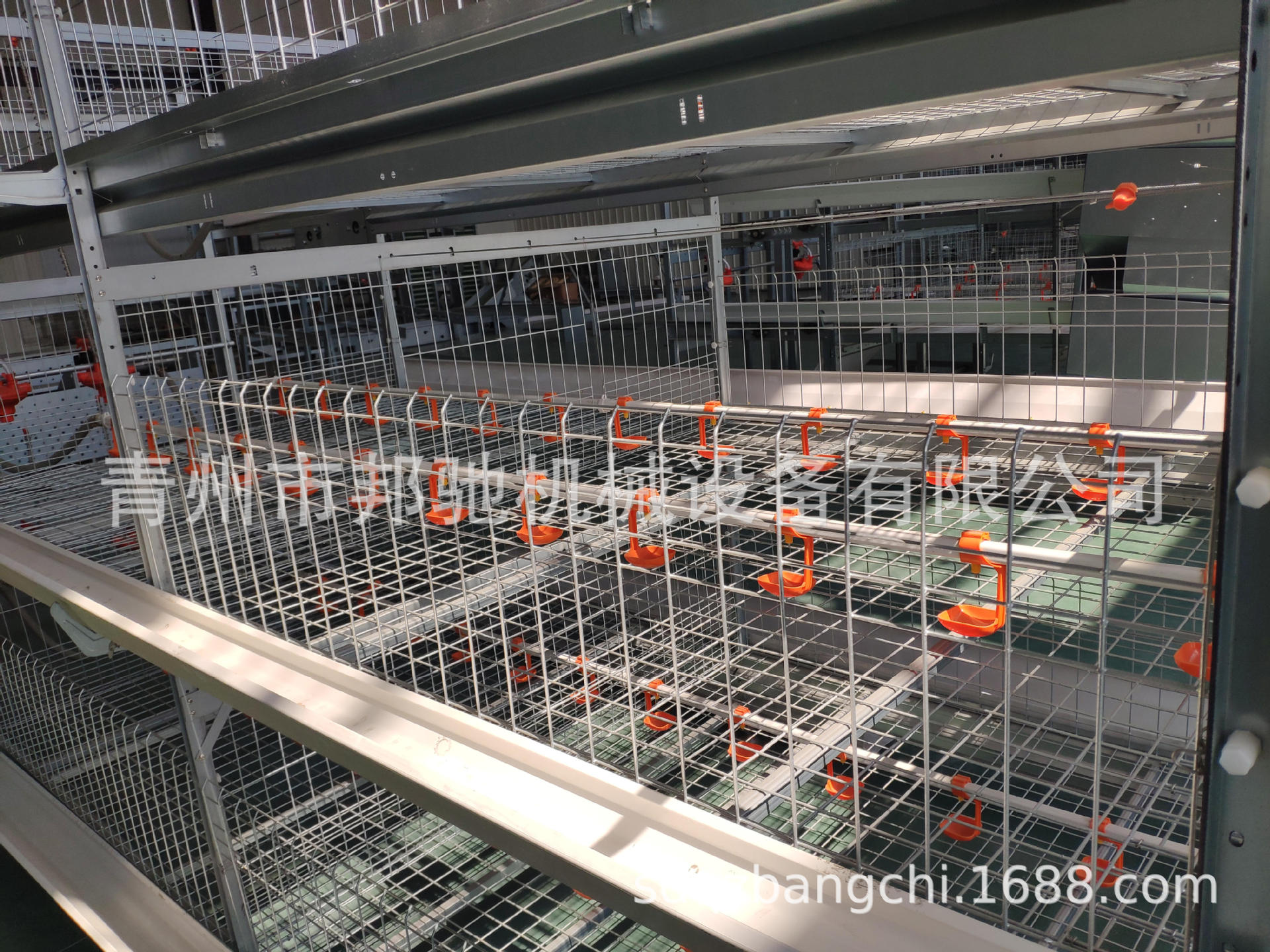 全自动三层肉鸡笼养设备 镀锌板自动化养殖鸡笼 鸡鸭通用养殖设备-阿里巴巴