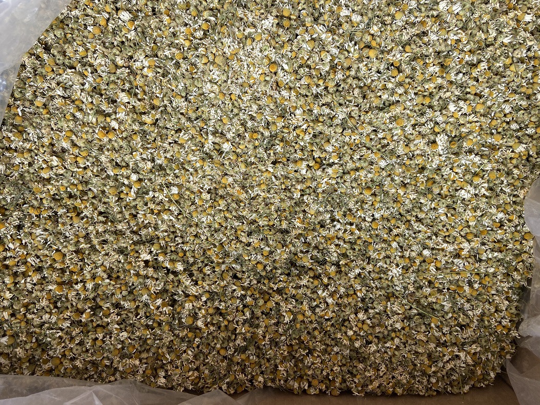 Chamomile Powder Yang Gan Ju Fine Ground Matricaria Flower Powder for Skincare and Herbal Blends 500g quality and texture